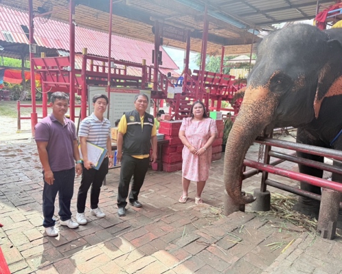 ตรวจรับรองใหม่ การปฎิบัติทางการเกษตรที่ดีสำหรับปางช้าง
